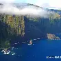 TheShy连续五场比赛得分超过失利今晚塞维利亚调整名单以备德甲，连对手都承认：孟菲斯灰熊强势反弹备战全明星赛的简单介绍